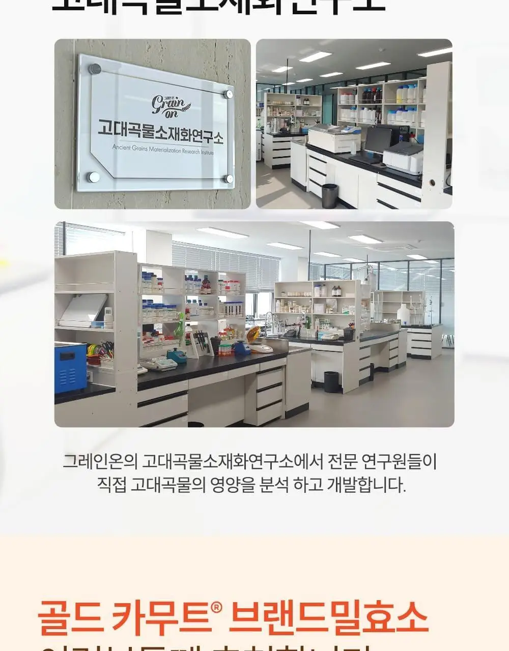 [관종언니 이지혜 Pick] 그레인온 골드 카무트 효소 30포 (30일분) 상세페이지 20
